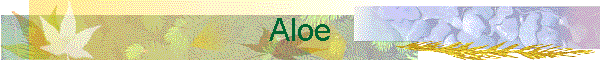 Aloe