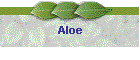 Aloe