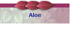 Aloe
