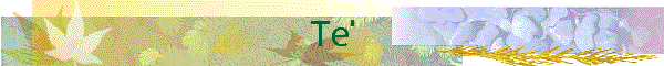 Te'