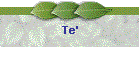 Te'